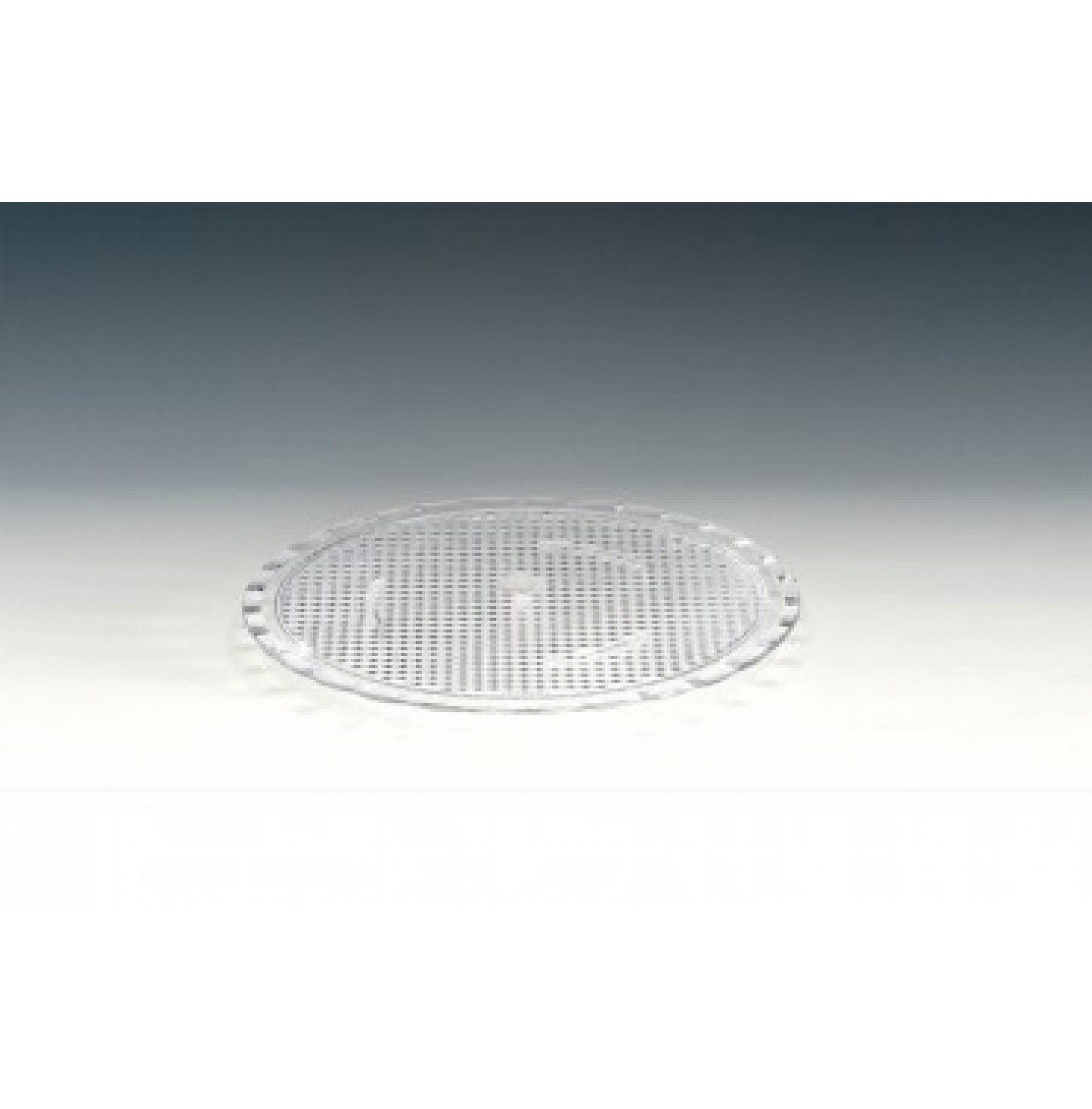 POLİKARBONAT PASTA ALTLIĞI 19 Cm